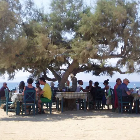 Vakantiehuis Joy's *